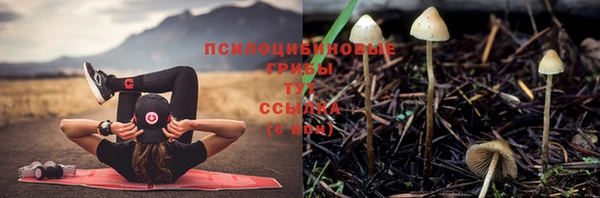 герыч Аркадак