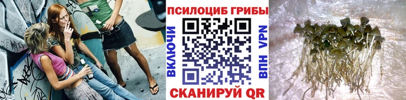 Псилоцибиновые грибы мицелий Бугуруслан